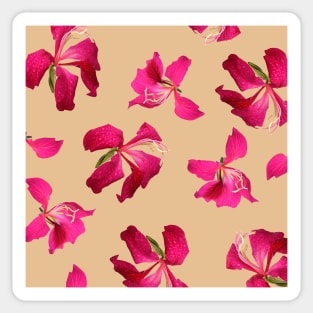 Bauhinia Flower Beige  - Summer Flower Pattern Sticker